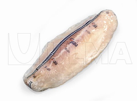 Flowpack makinede donuk balık porsiyonları paketleme