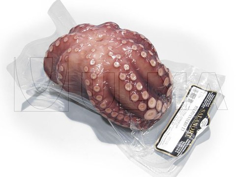 Termoform makinede vakumlu bütün ahtapot paketleme